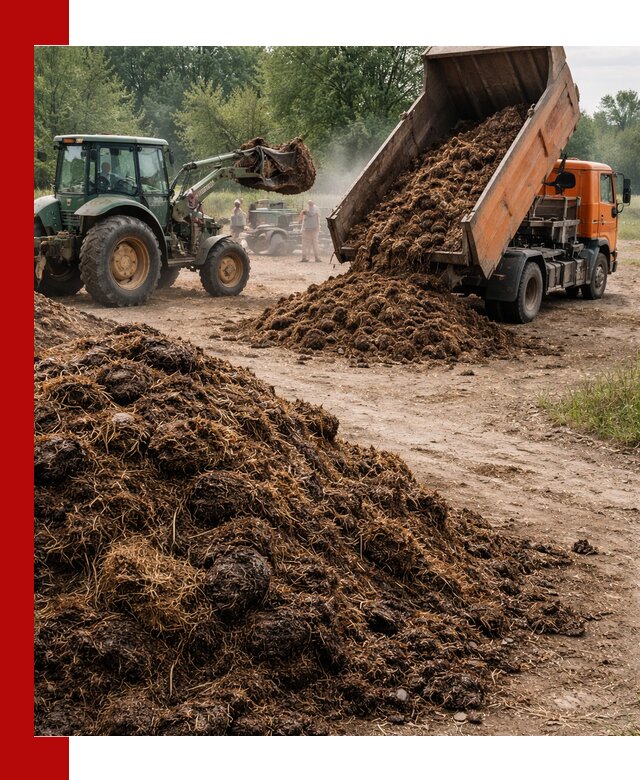 Доставка навоза самосвалами в Кумертау для сельхозпотребностей